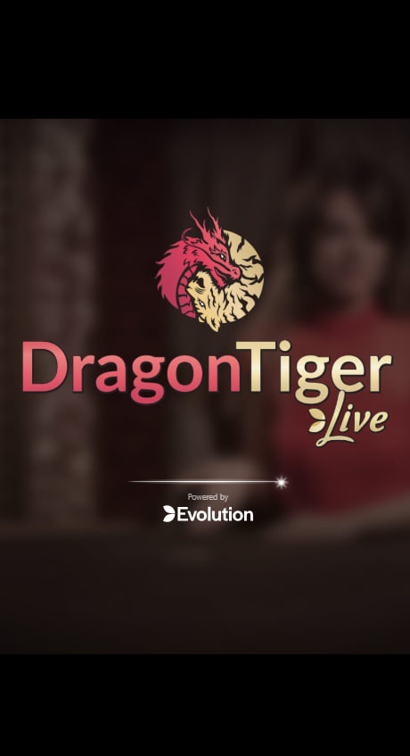 Dragon Tiger Live game screen